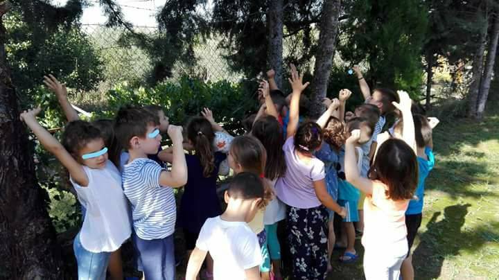 Ο τρύγος από τα προνήπια Ευκαρπίας